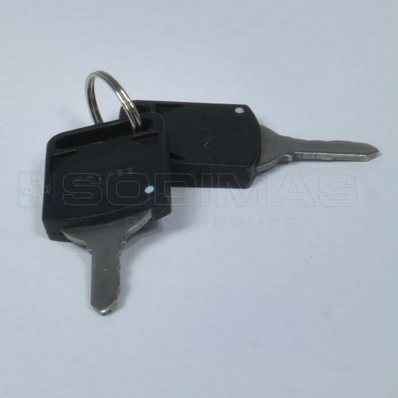 Clé TAYEE pour escalator- jeu de 2