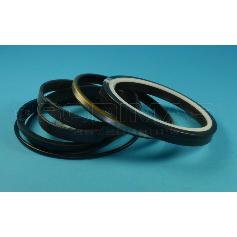 Jeu de joint de vérin Ø 100